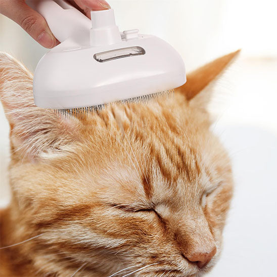 Brosse de massage à vapeur pour chat | PurrRelax