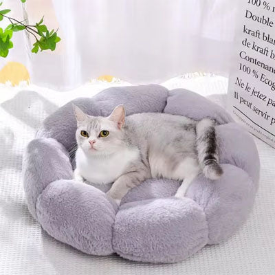 Coussin Confort pour Chat | DreamPaws