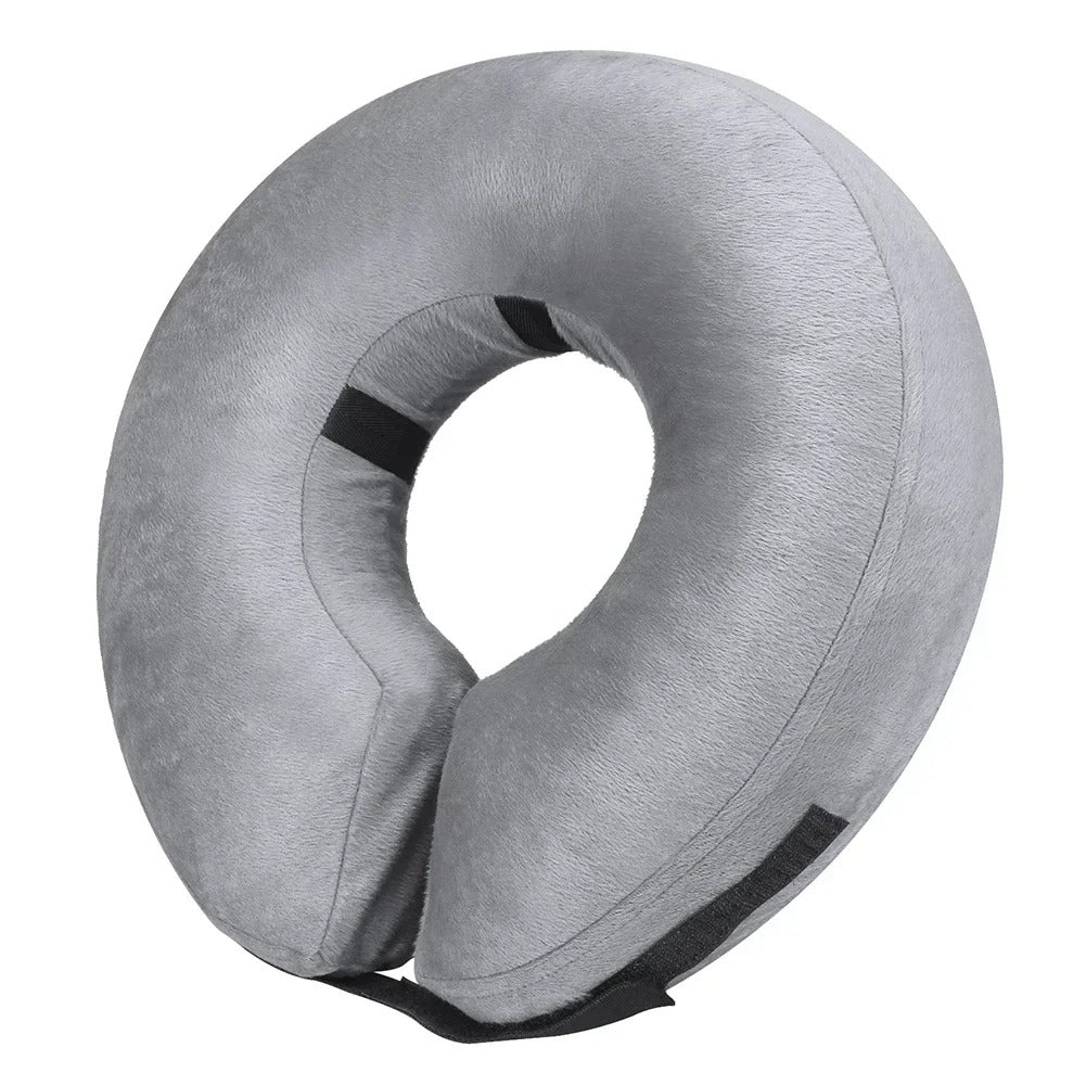 Collerette Chat | Confort Post-Opératoire