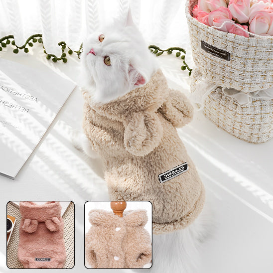 Pull pour chat | Cozy Winter