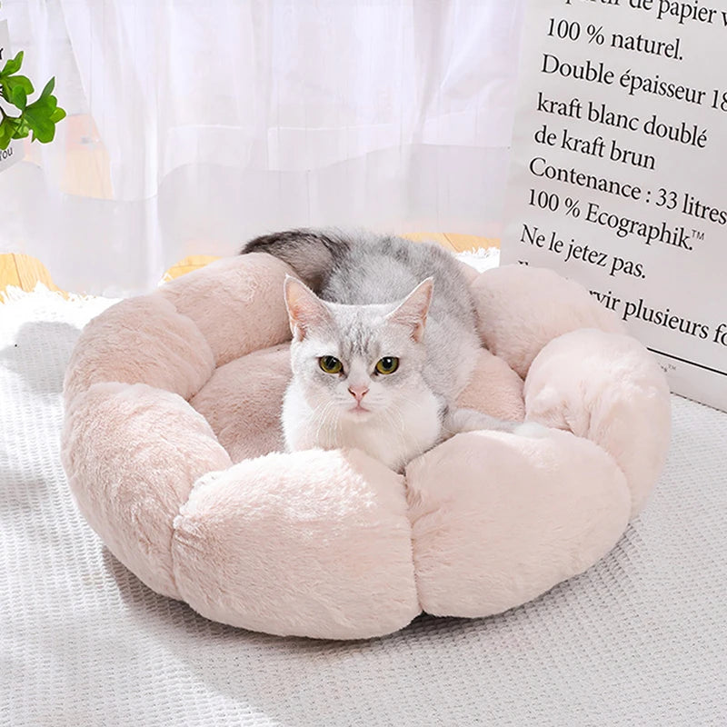 Coussin Confort pour Chat | DreamPaws