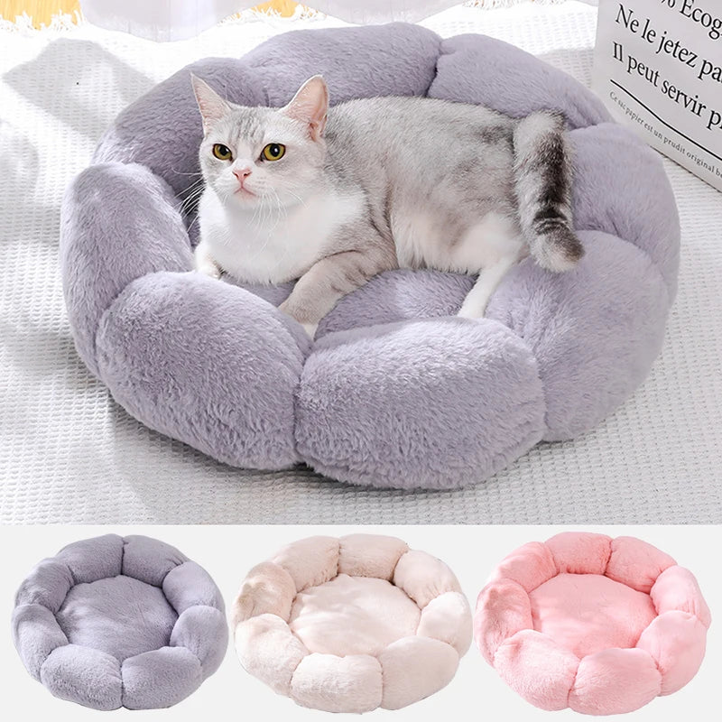 Coussin Confort pour Chat | DreamPaws