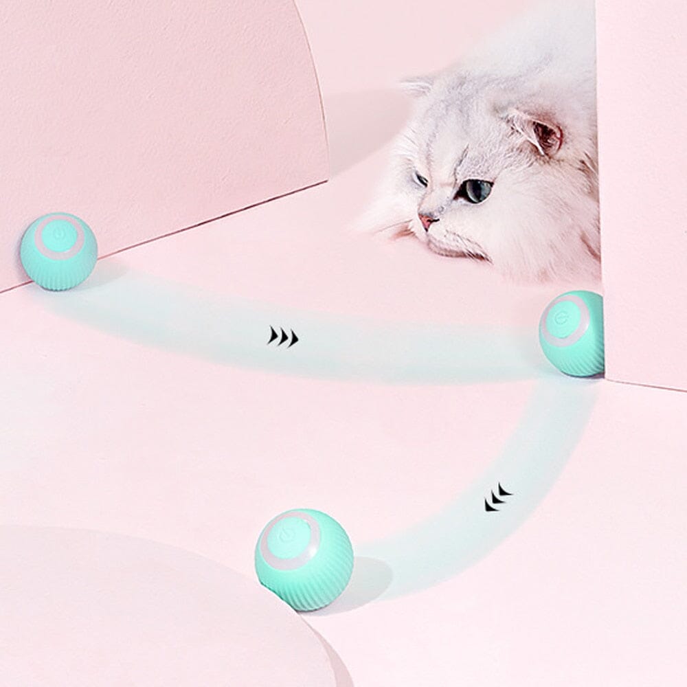 AutoBall™ - Jouet électrique interactifs pour chats - CatClochette