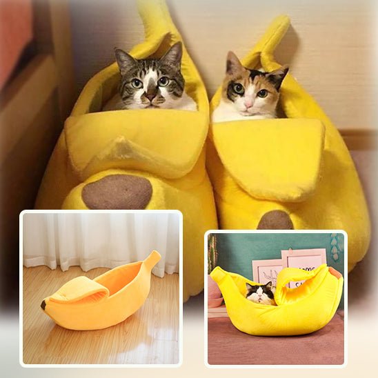 Banana CatClochette™ - CatClochette