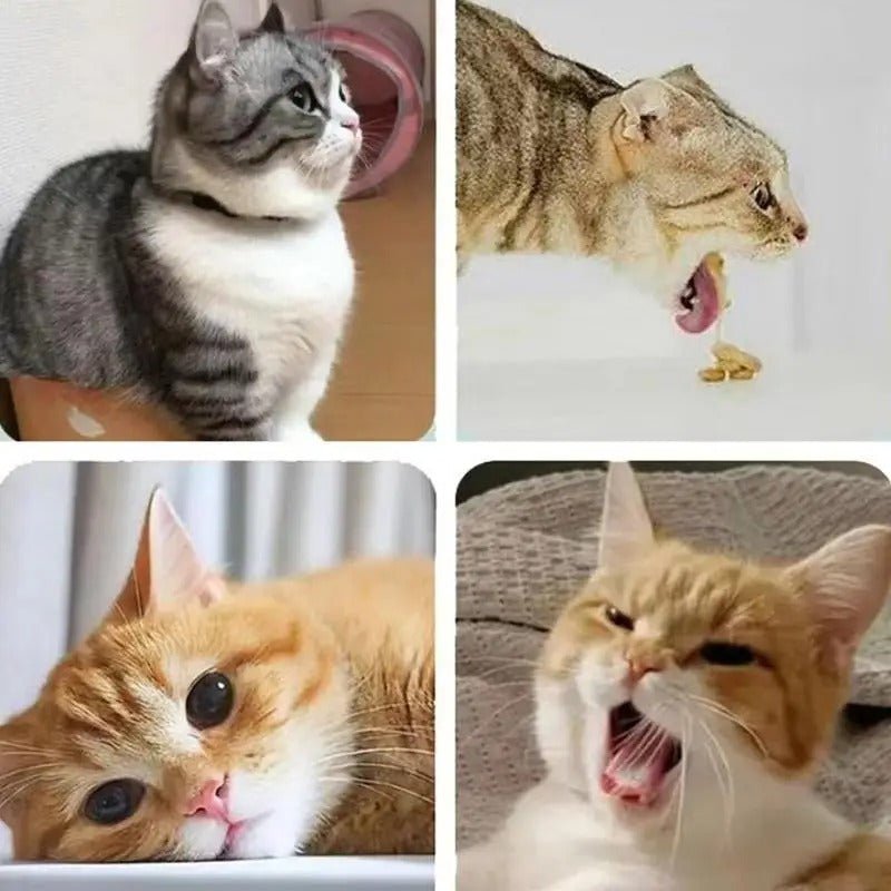 Boule en Herbe de Cataire pour Chat - CatClochette™ - CatClochette