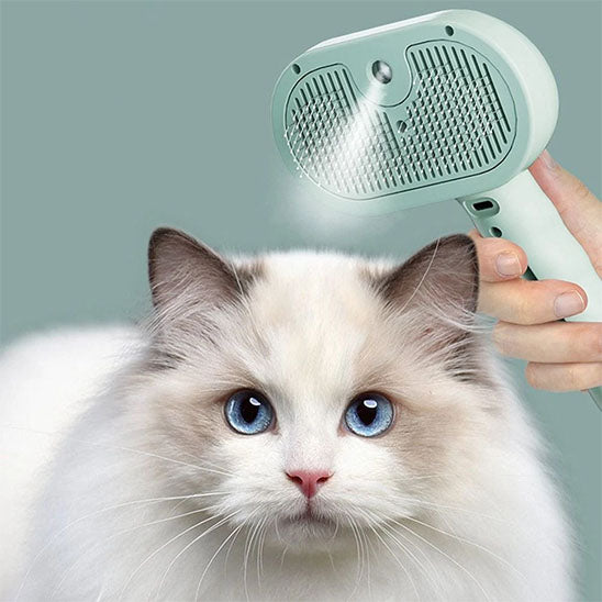 Brosse de massage à vapeur pour chat | PurrRelax
