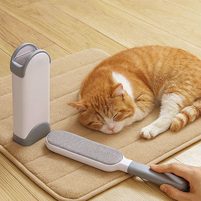 Brosse anti poil pour chat | ShedCapture