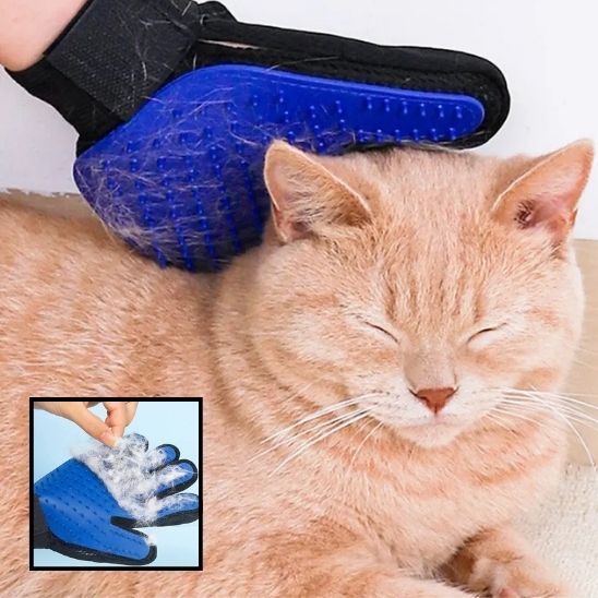 Brosse Chat | Anti-Poils