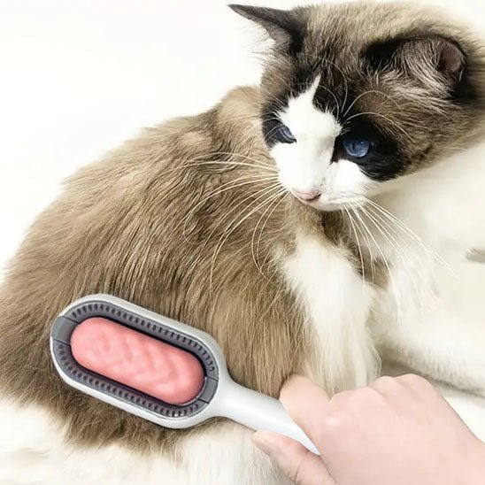 Brosse pour chat™ - CatClochette