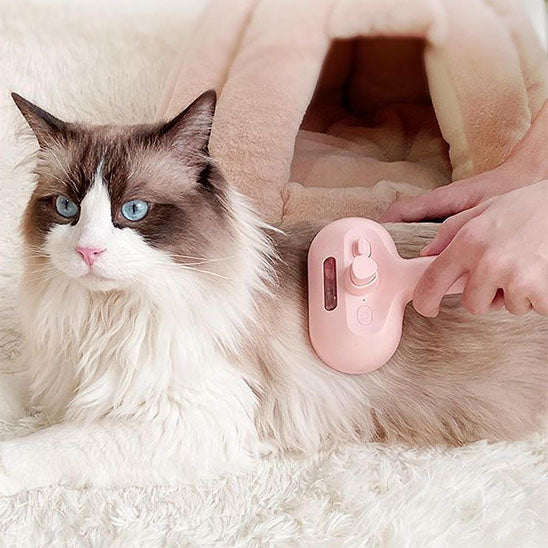 Brosse de massage à vapeur pour chat | PurrRelax