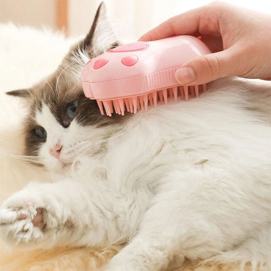 Brosse pour chat | CompliciFeline