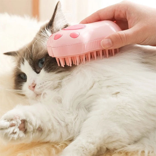 Brosse pour chat | CompliciFeline