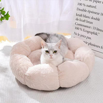 Coussin Confort pour Chat | DreamPaws