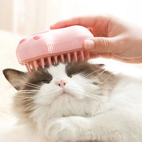 Brosse pour chat | CompliciFeline
