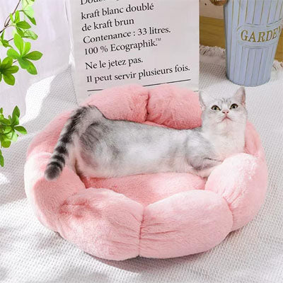 Coussin Confort pour Chat | DreamPaws