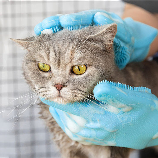 Gant de toilettage pour chat | DouceurPro