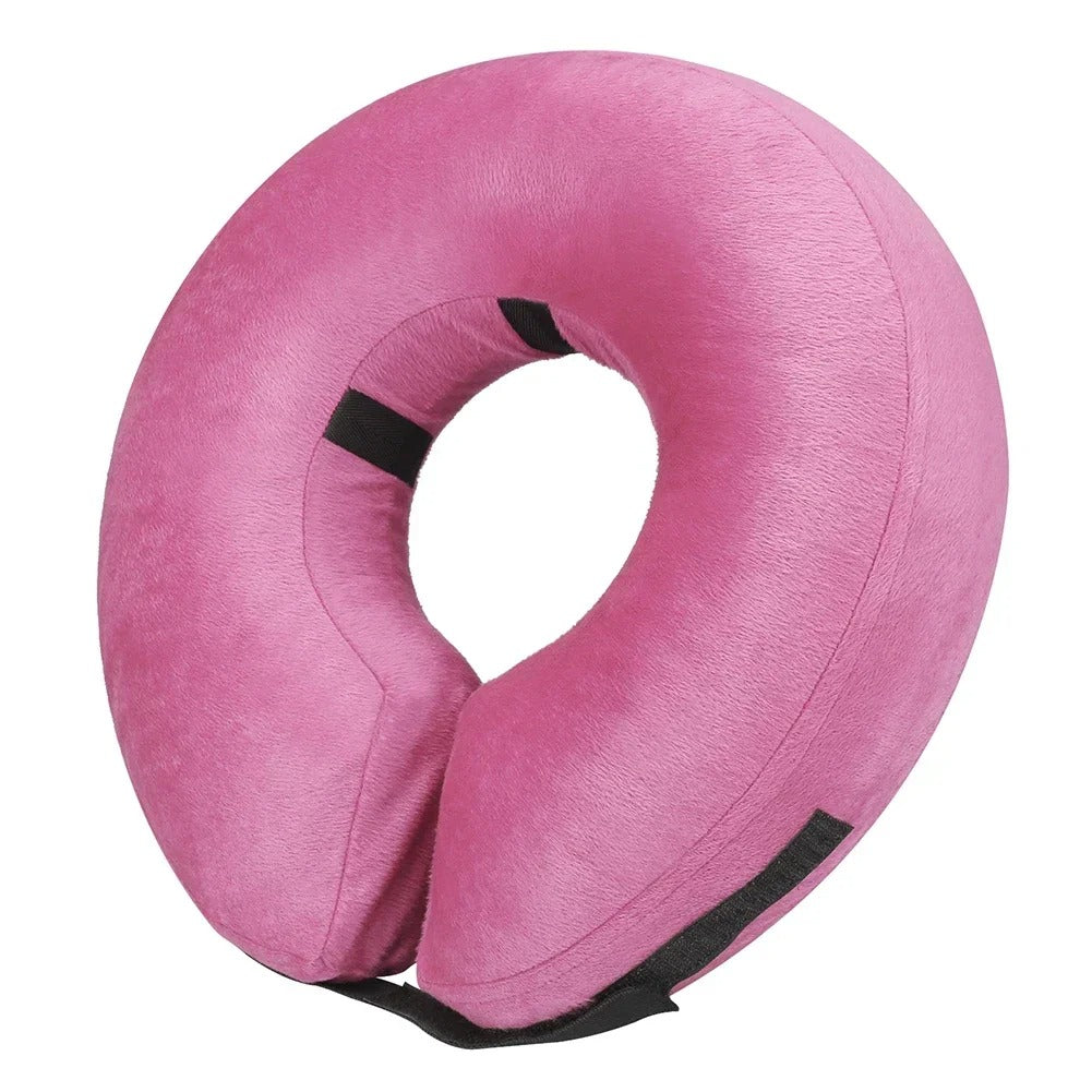 Collerette Chat | Confort Post-Opératoire