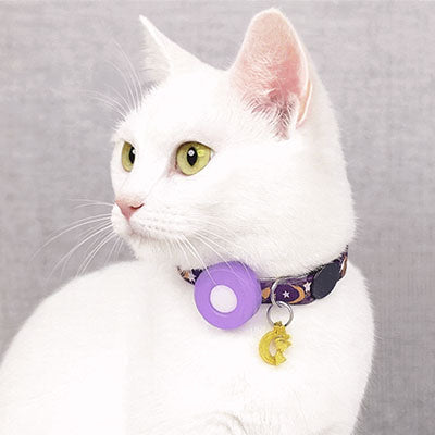 Collier GPS pour Chat | PetTracker