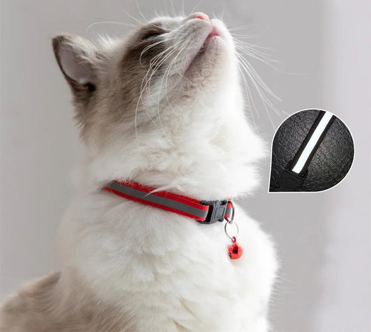 Collier Pop’Chat™ - collier coloré pour chat - CatClochette