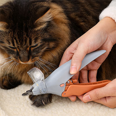 Coupe griffe pour chat | CompliciiFélin