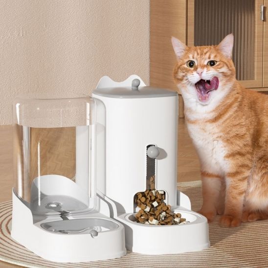 Distributeur de croquettes pour chat | Automatique Programmable