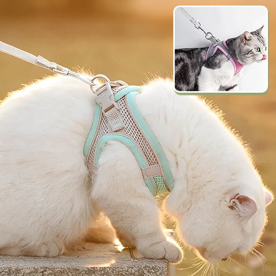 Harnais pour chat - CatClochette™ - CatClochette