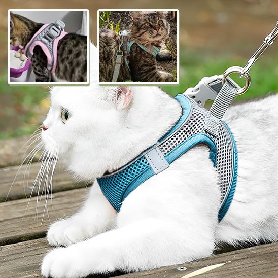Harnais pour chat - CatClochette™ - CatClochette