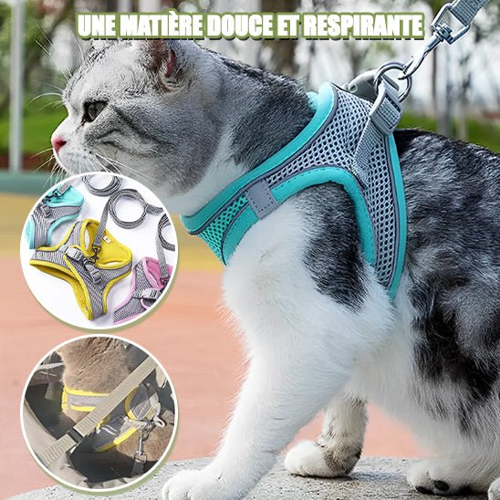 Harnais pour chat - CatClochette™ - CatClochette