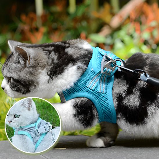 Harnais pour chat - CatClochette™ - CatClochette