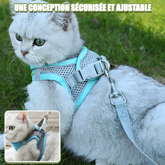 Harnais pour chat - CatClochette™ - CatClochette