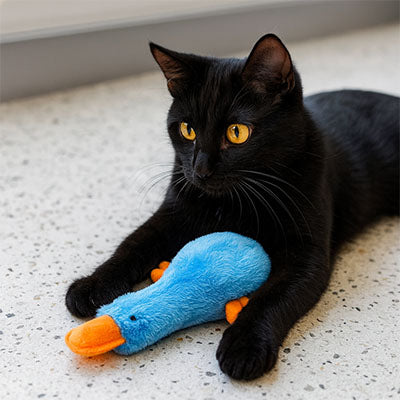 Jouet chat mignon | Instinct'Play