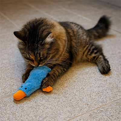 Jouet chat mignon | Instinct'Play