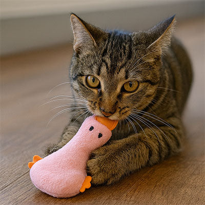 Jouet chat mignon | Instinct'Play