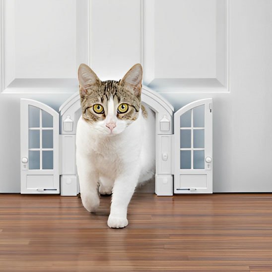 Chatière pour chat | 4 Positions Sécurisées