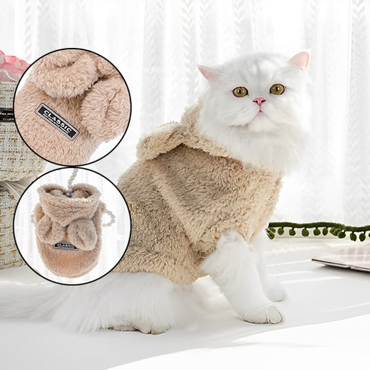 Pull pour chat | Cozy Winter