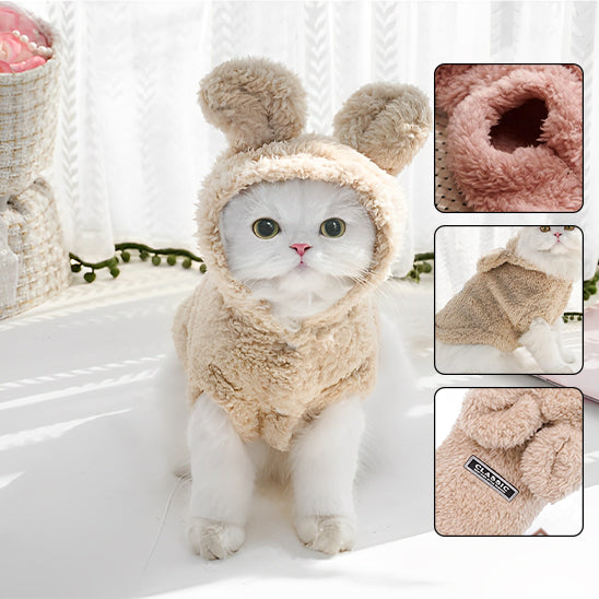 Pull pour chat | Cozy Winter