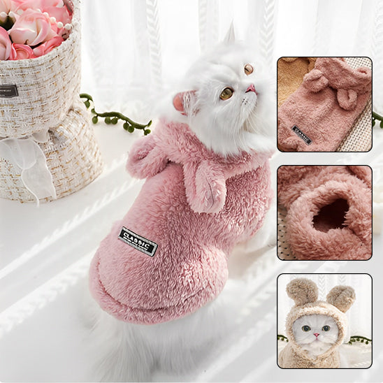 Pull pour chat | Cozy Winter