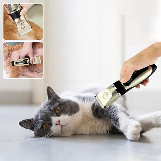 Tondeuse pour chat | ChatCoupePro