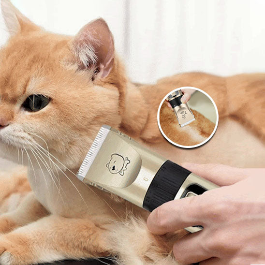 Tondeuse pour chat | ChatCoupePro