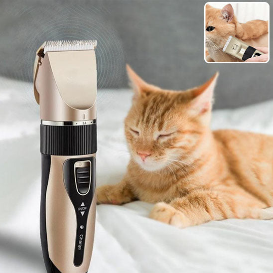 Tondeuse pour chat | ChatCoupePro