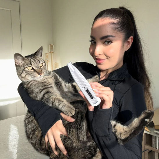 Tondeuse pour chat | SilencePro